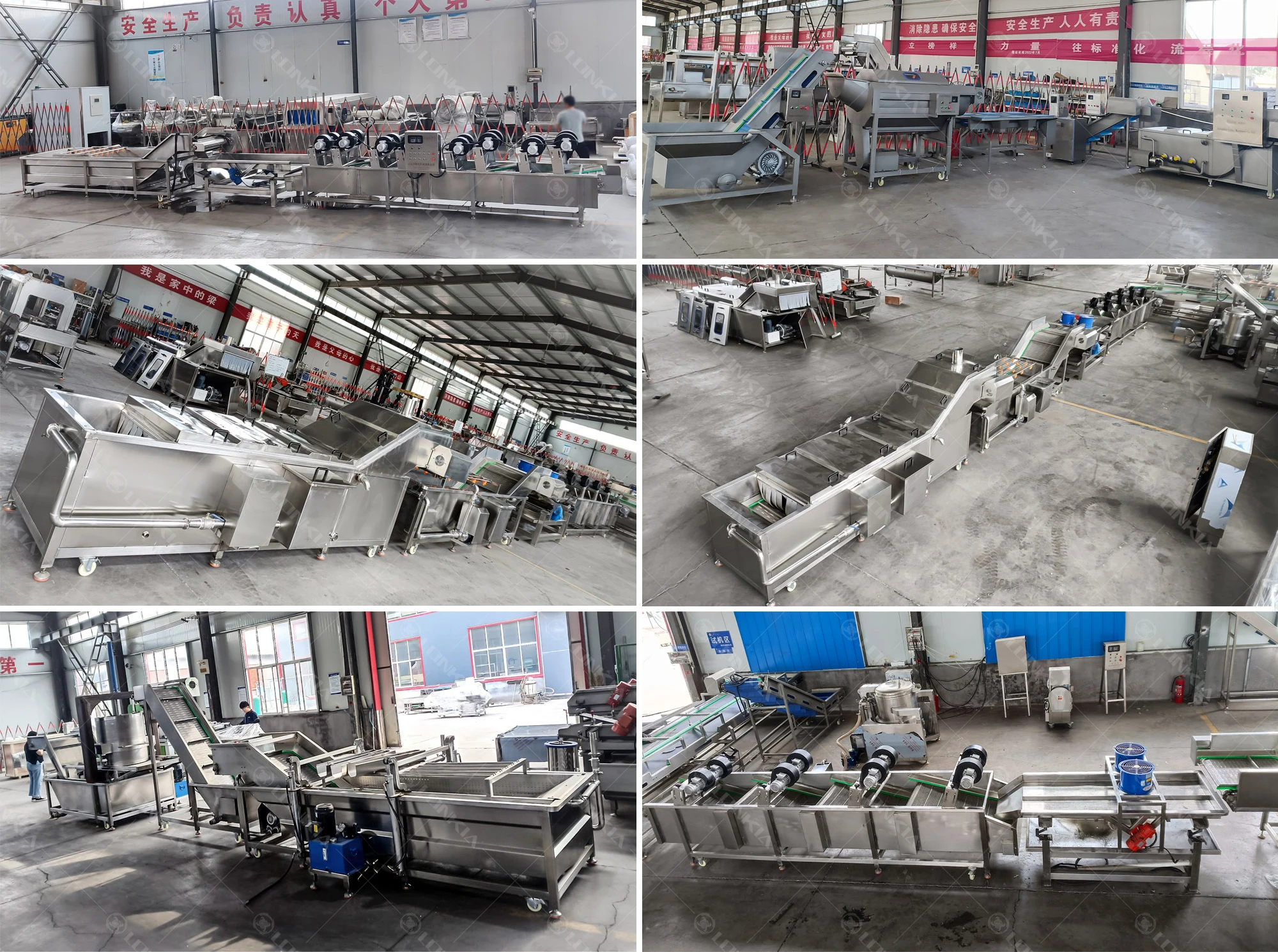 Fish Seafood Eggplant Pineapple Groundnut Noodle Shrimp Blanch Equipment Banana Chips Conveyor vegetable Blanching Machine supplier