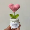 J'adore les plantes blanches en pot