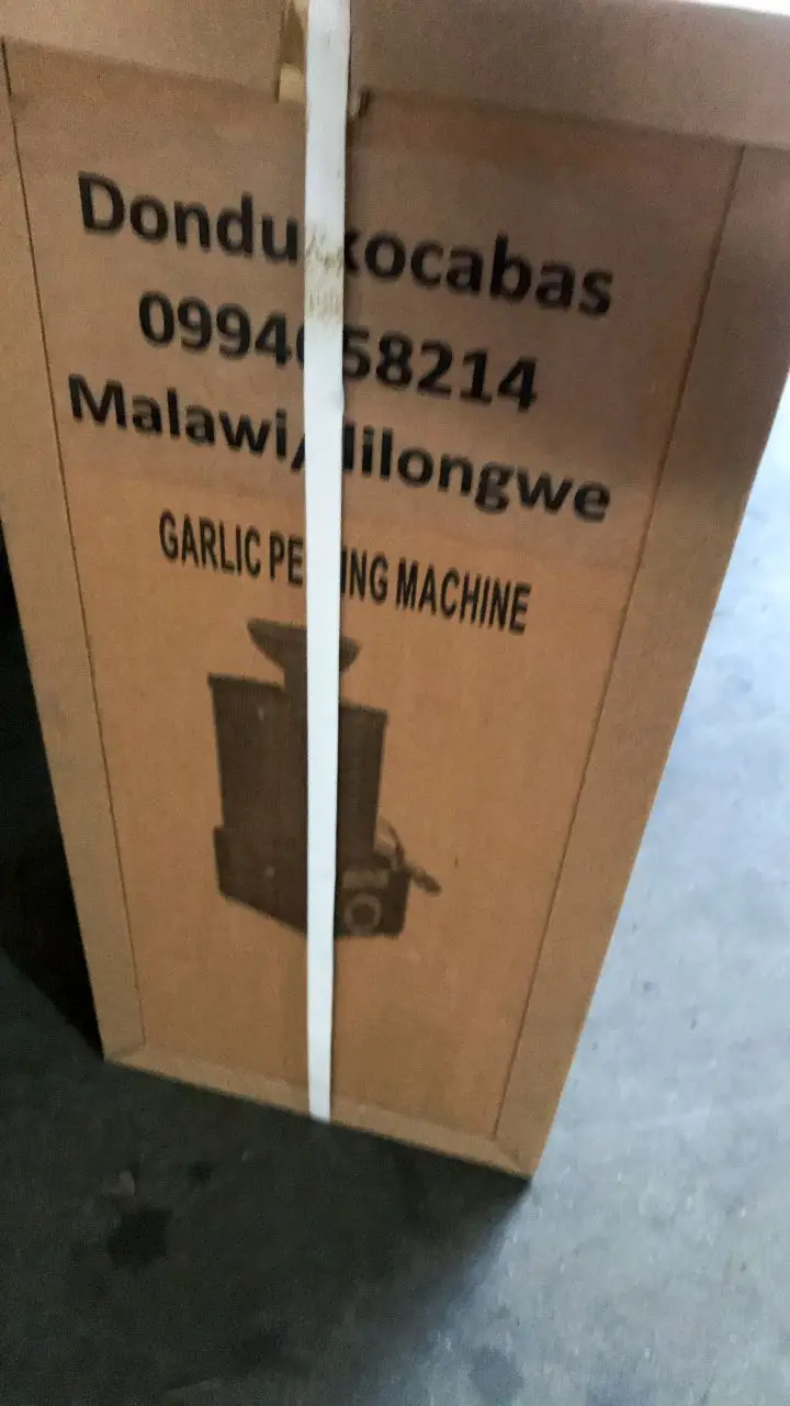 CT-G160 Electric Garlic Peeler Machine - Image 6