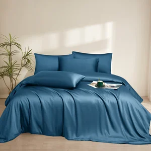 Eco-Bamboo Luxury Bedding Set Simple Style Duvet Cover and Pillowcase Woven Technique