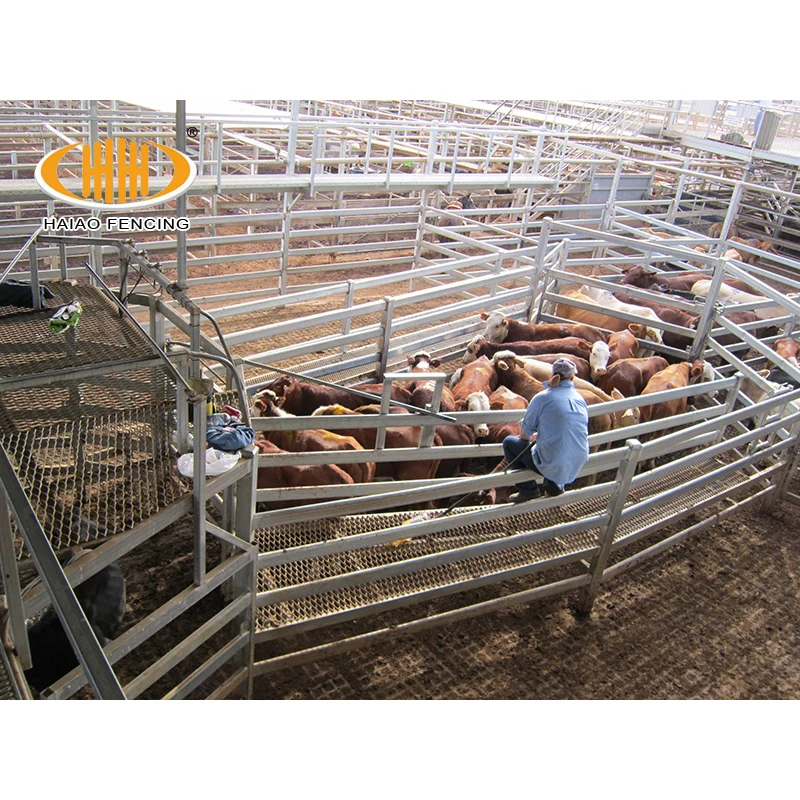Wholesale Bulk High Quality Australia Standard Galvanized Metal Cattle
