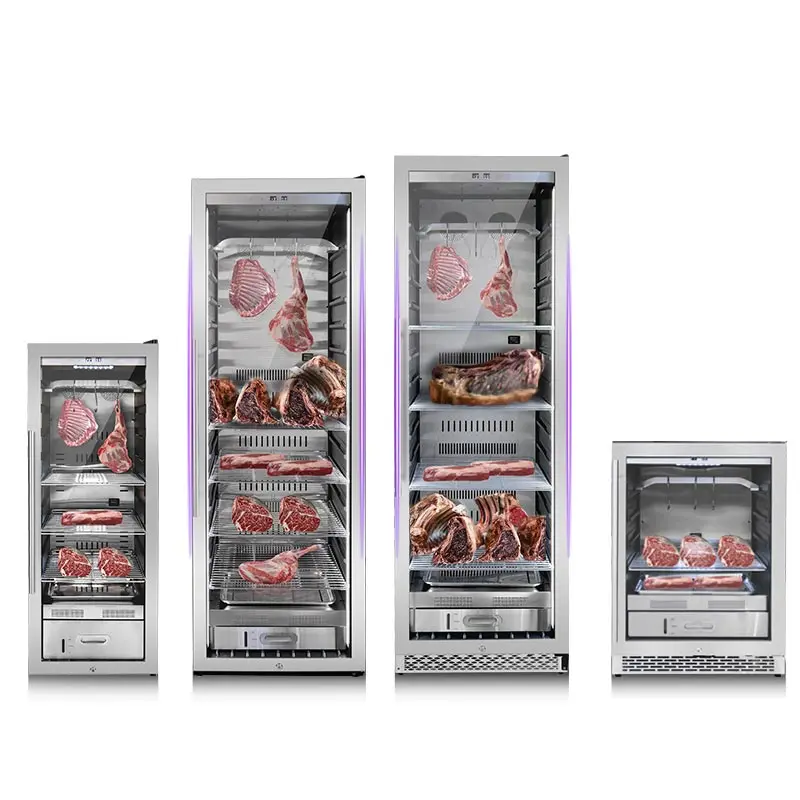 Compressor Meat Drying Steak in Fridge Dry Aging Beef Steak in Refrigerator Dry Age Meat Fridge for Home