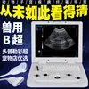 Doppler color ultrasound, superficial/microconvex transducers