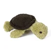 Sea Turtle Titan