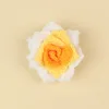 Jaune dégradé - Calice rose à angle vif (avec réceptacle)