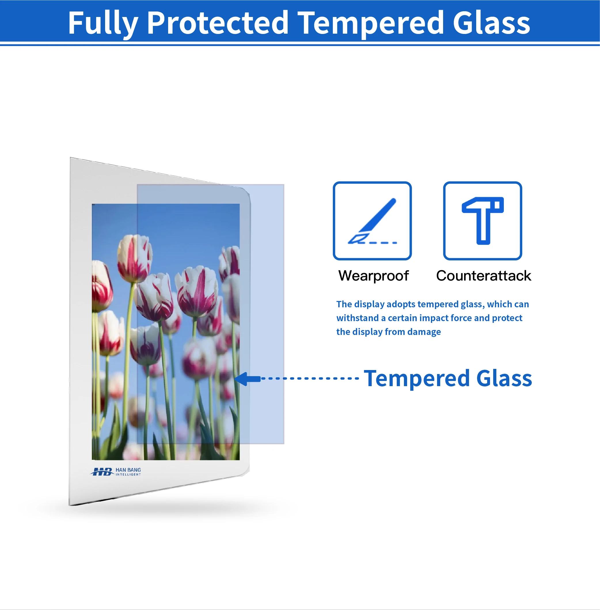 Transparent LED Display - Customizable Digital Signage