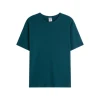 Koktokay teal