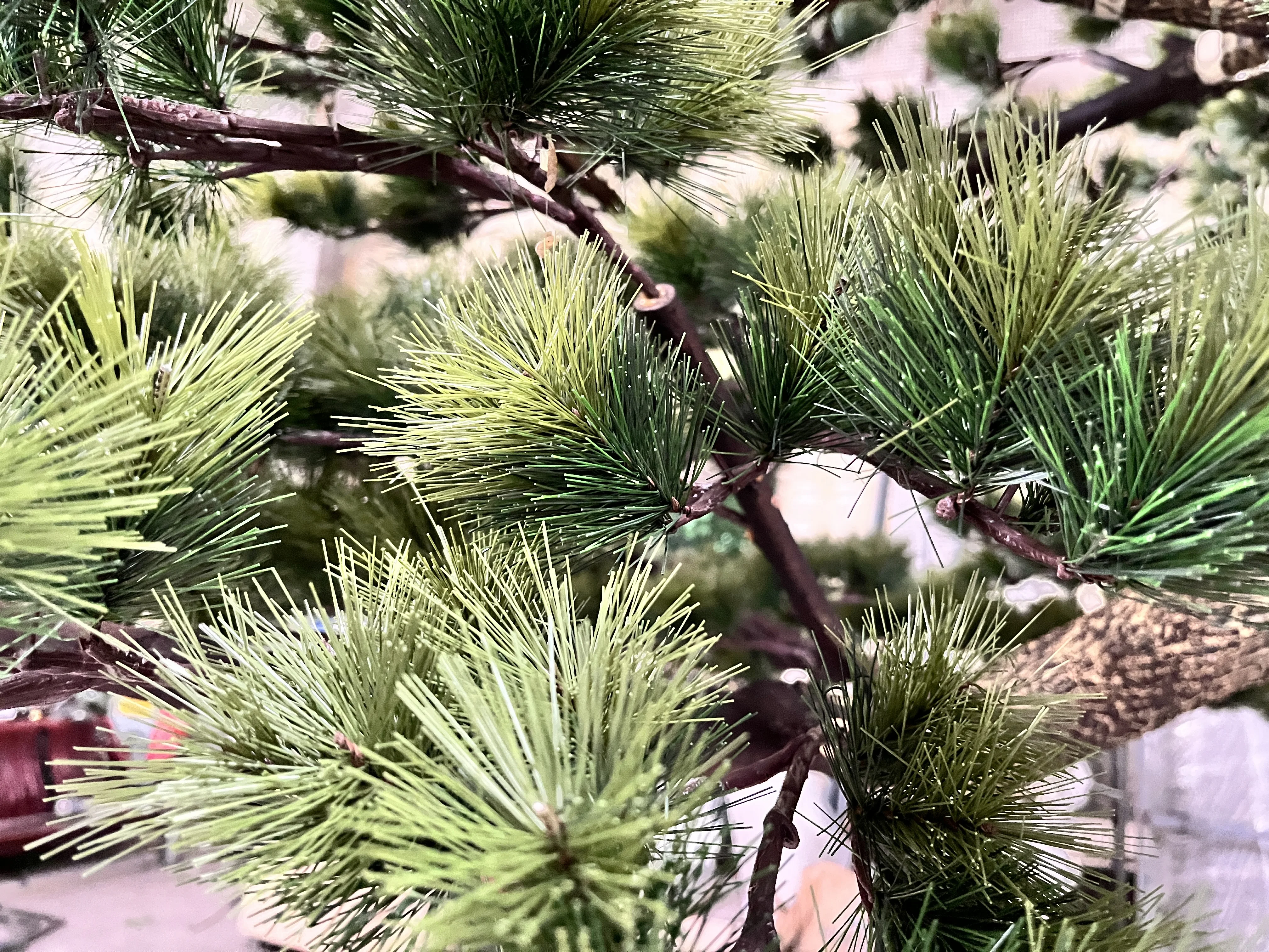 Artificial Pine Branches Large Potted Plant Customize Landscape Tree Artificial  Pine Bonsai Tree Pine Tree for Home Deco