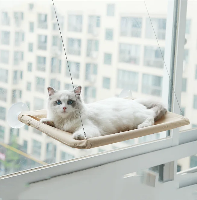 pet beds (9)
