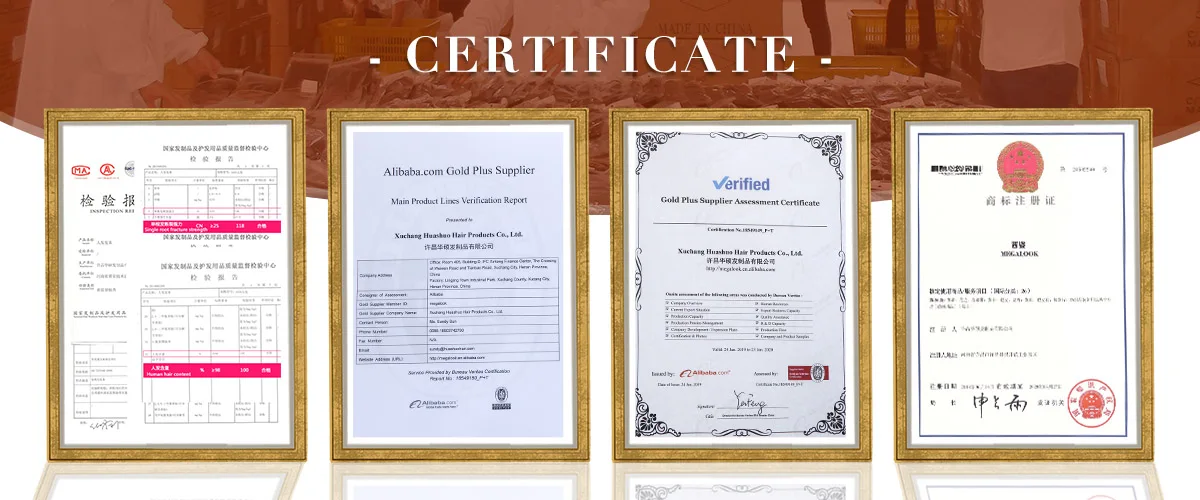 Peruvian Lace Front Wigs HD Full Swiss Lace Human Hair Wig For Black Women Glueless Cuticle Aligned Lace Frontal Wigs