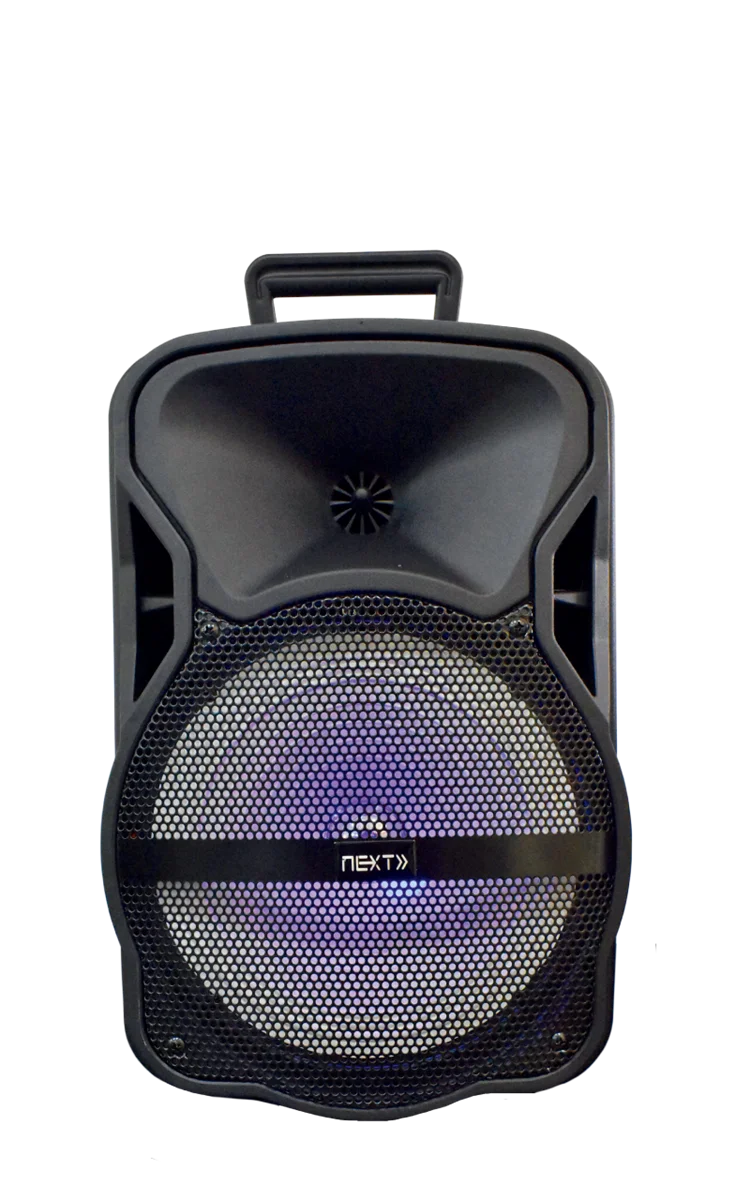 cheap concert speakers