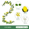 Vides de algas limón florales