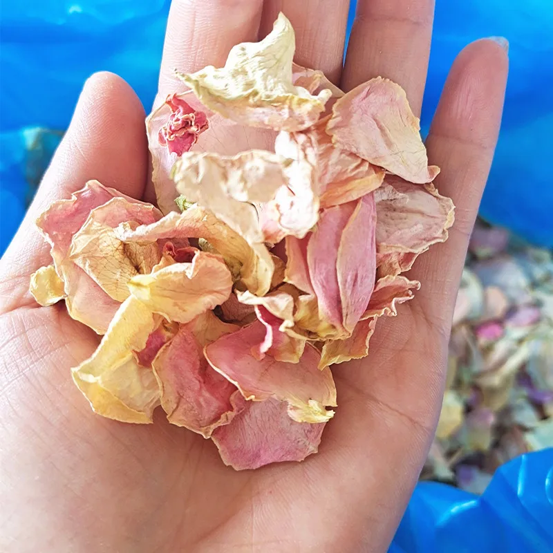 white rose petals (5).jpg