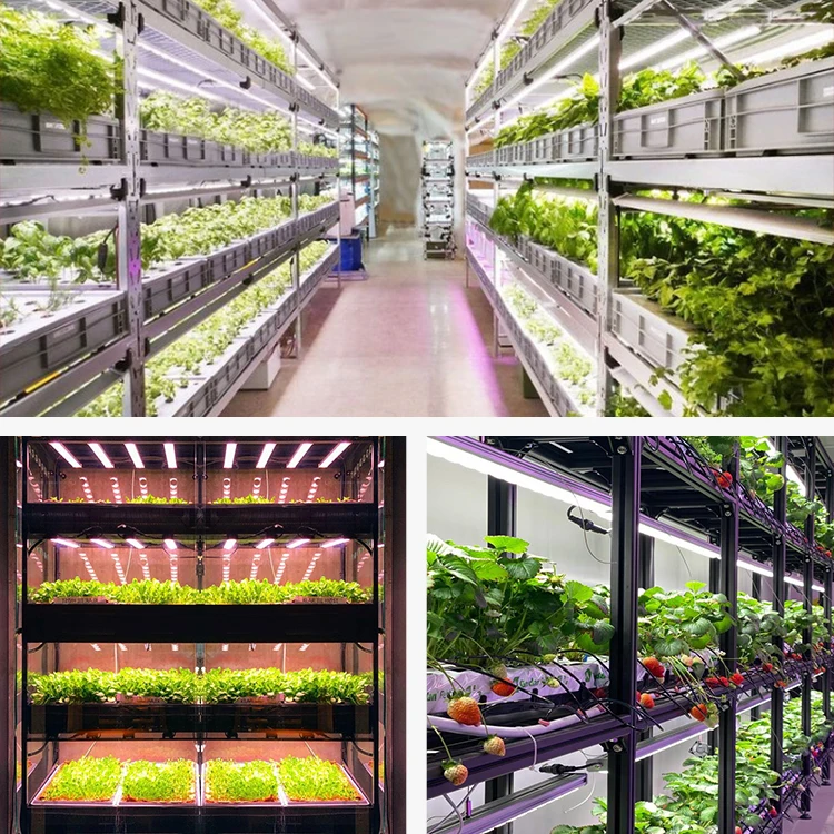 Patent Vertical Farming Plant Grow Lamp Hydroponic Full Spectrum