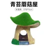 Moss mushroom house