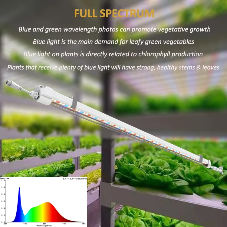 Ip65 Hydroponics T5 Grow Lights 4ft Tube Nft Indoor Plants Microgreen