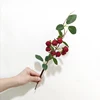 FA80009-Red