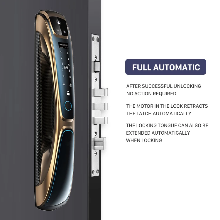 Premium quality Golden color smart lock Tuya Face Recognition Fingerprint Smart Door Lock with camera for home D28