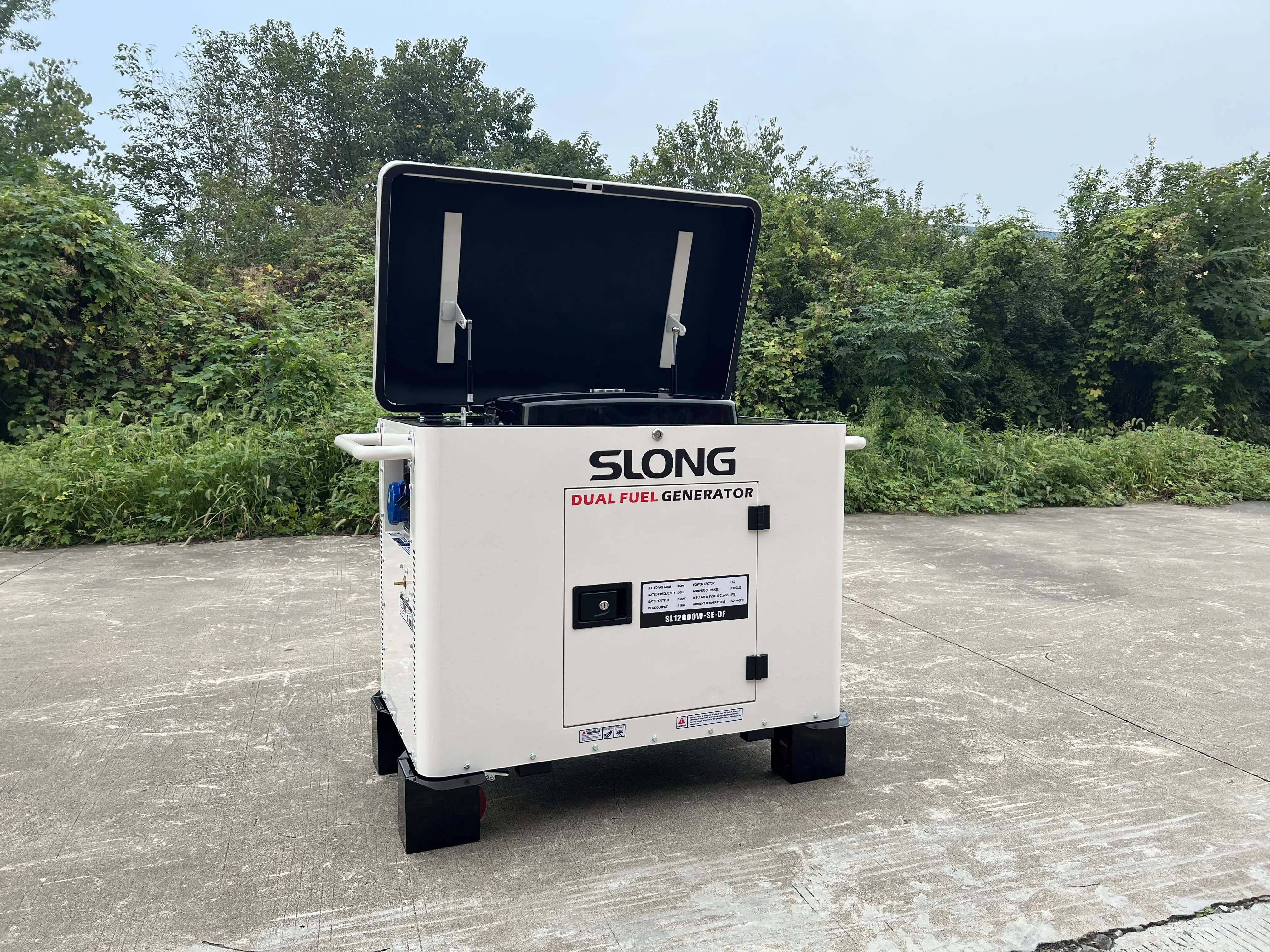 Slong 10000 Watt Silent Heavy Duty Propane Lpg Natural Gas Generators