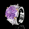 adjustable size Ziluan ring