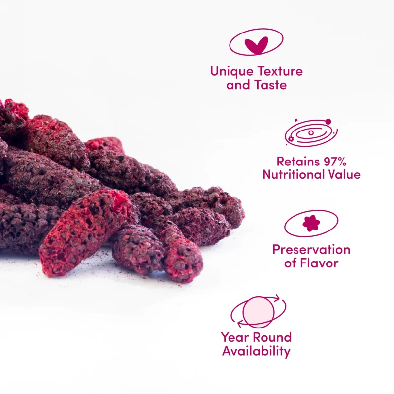 Freeze Dried Mulberry Whole - Bulk Wholesale from China Factory H7a0acec7807542849cea16528a6f636em