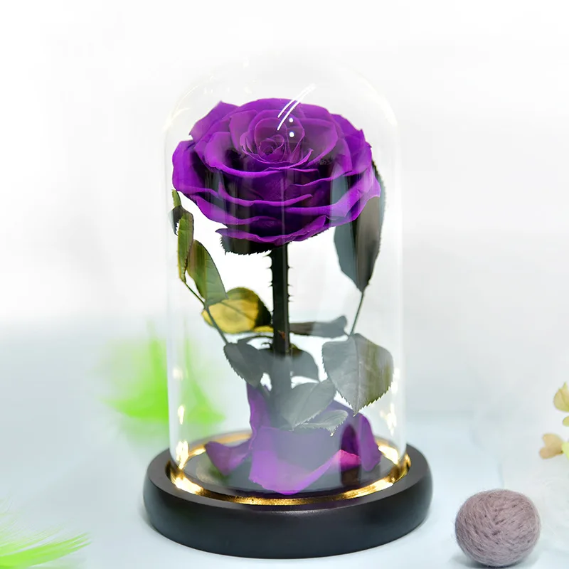 oridom Fleur préservée, rose lumineuse dans un dôme en verre, cadeau oridom Fleur préservée, rose lumineuse dans un dôme en verre, cadeau
