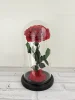 rosso scuro (12*25)