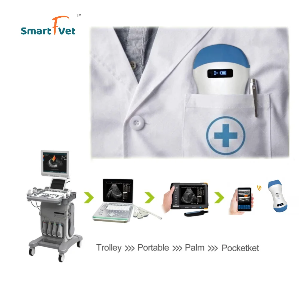 Smartfvet Veterinary Wireless Veterinary Ultrasound Equipment Dog ...