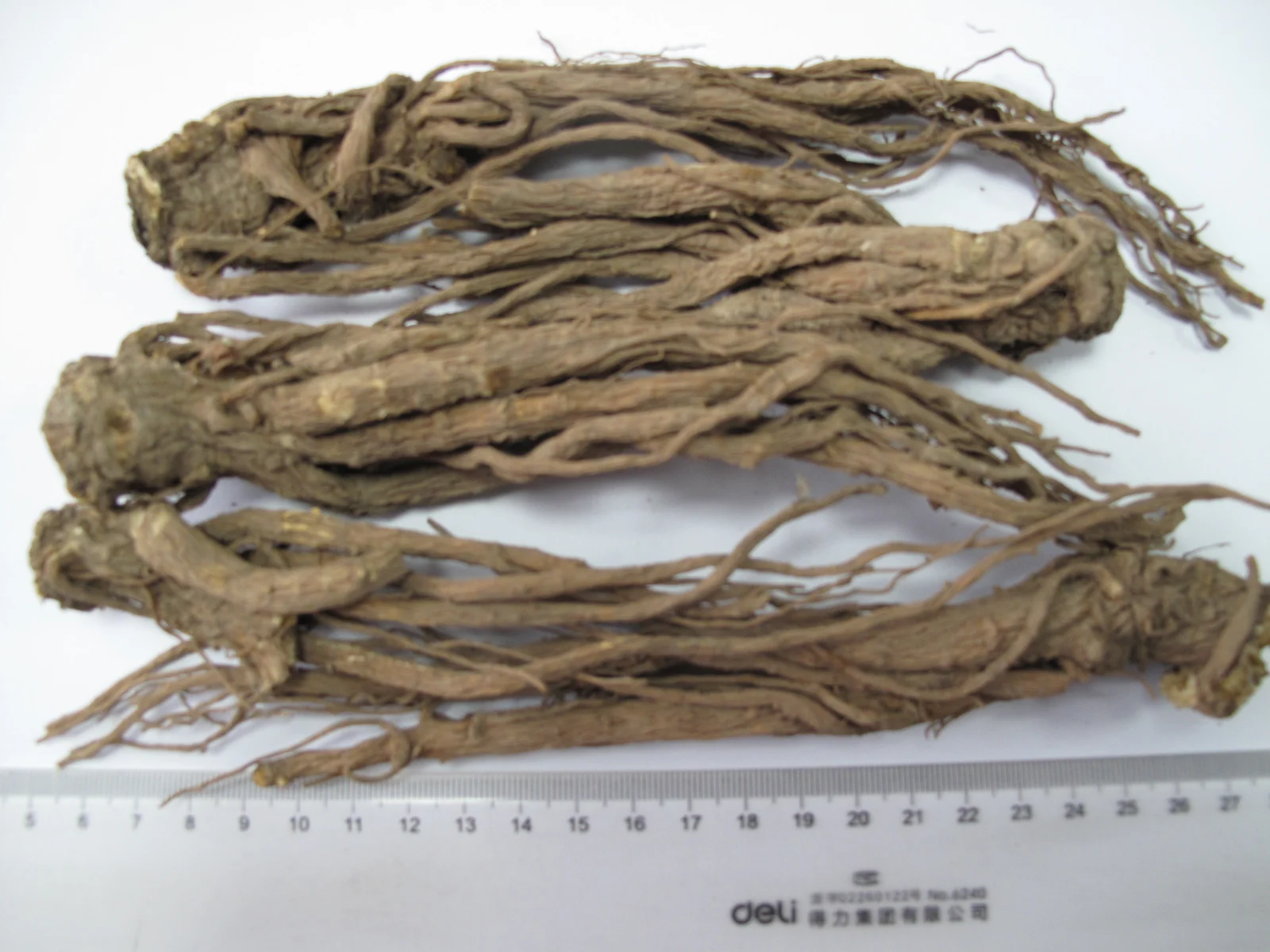 Сушеный на солнце китайский Анжелика Синенсис Radix Angelicae sinensis