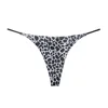 Leopardo bianco