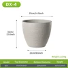 DX-4 Gris Claro