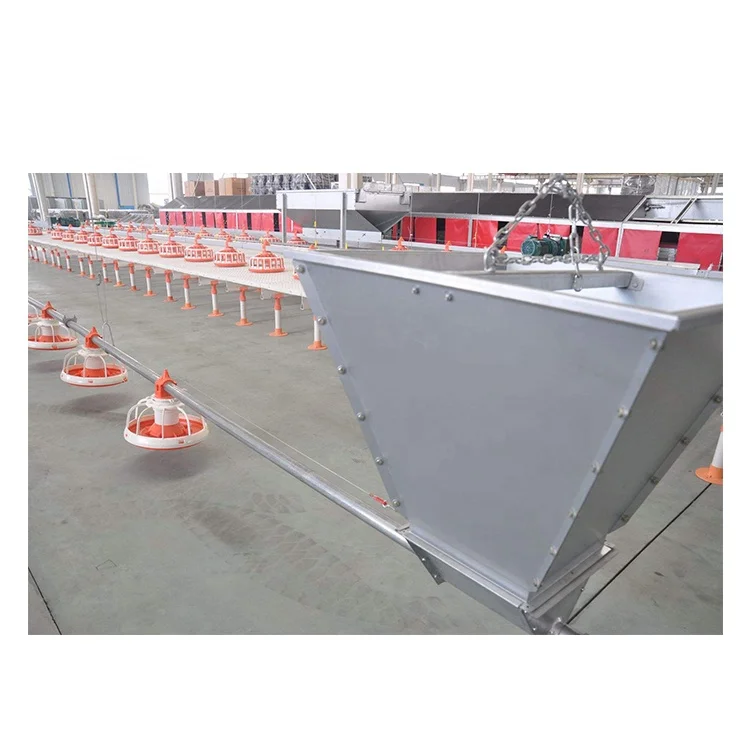 Rearing Chicken Feeding Line Automatic Chicken Feed Line Water Feeders for Chickens