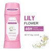 lily flower