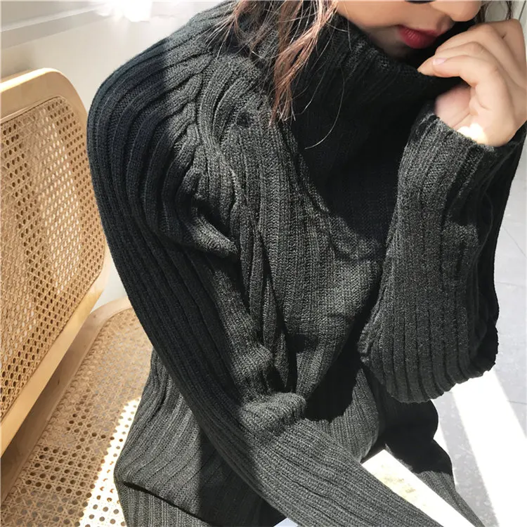2021 Korean Fashion Winter Thick Warm Female Plain Pullover