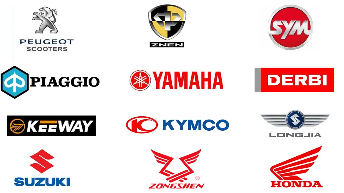 Jiangmen Xinhui Jungang Import & Export Tranding Co., Ltd. 1