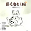 Chat tigré magnétique