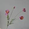 nuevo -2