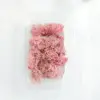 Muschio rosa (circa 10 grammi)