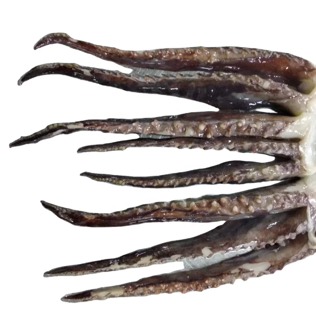 L32 большой размер индийские щупальца океанского кальмара замороженные гигантские