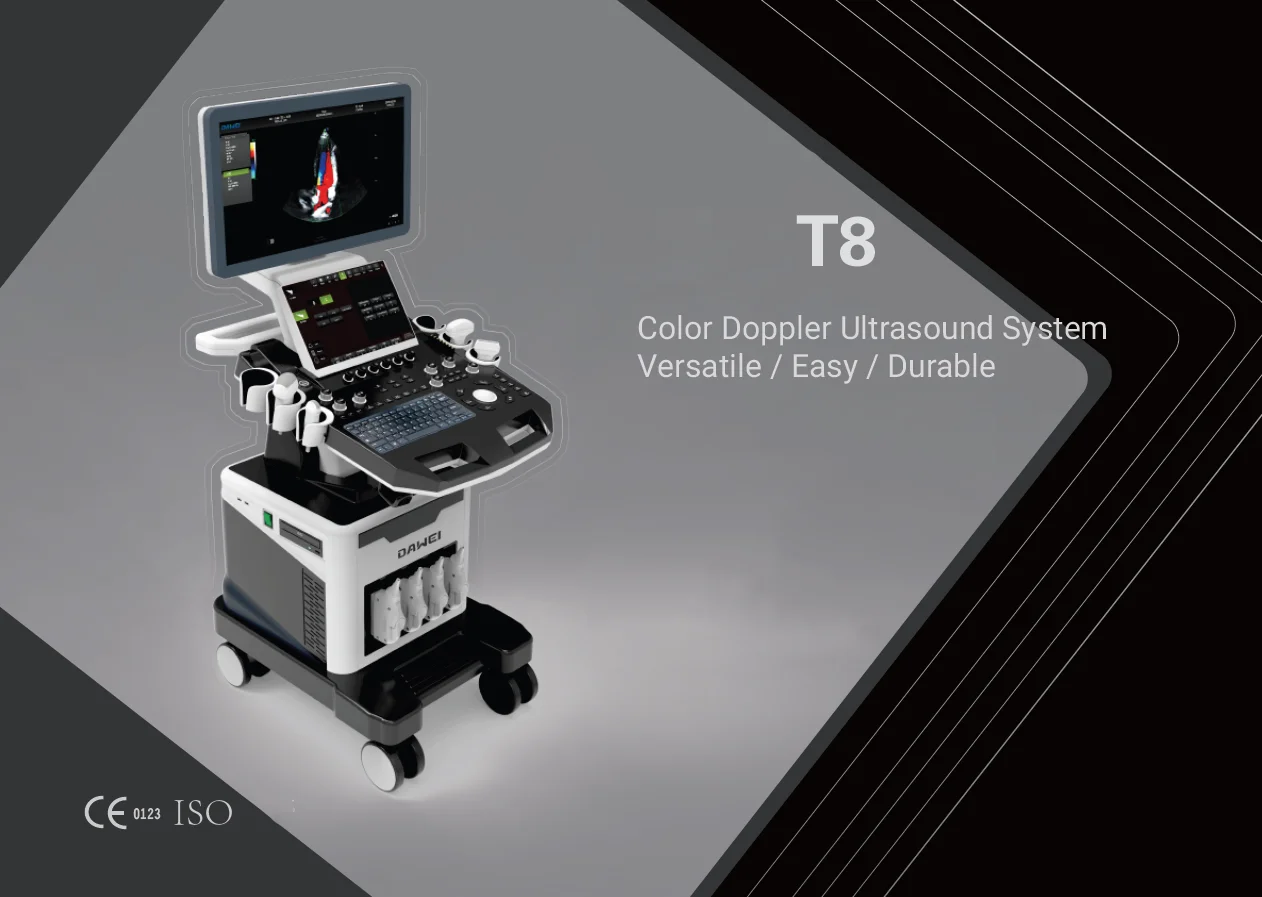 Lannx Bw Pregnancy Medical Equipment Ultrasonid Cheapest Portable