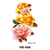 HB-666