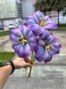 3 smiley tulipano viola chiaro