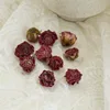 Dark red-side studs
