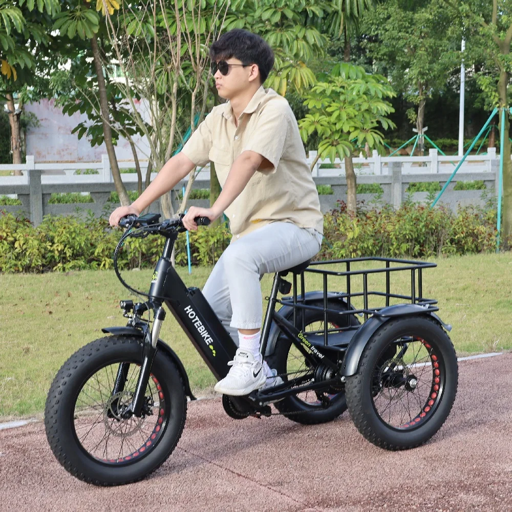 750W Electric Tricycle for Adults Three Wheel Bicycle Electric