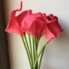 2 rose red