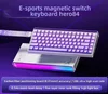 HERO84 Blanc - Violet Dual