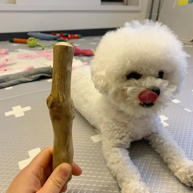 Best Price Supplier Chewable Stick Coffee Tree Wood Dog Chew Toy Coffee