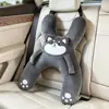 Gray-puppy