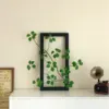 Grand cadre photo vert