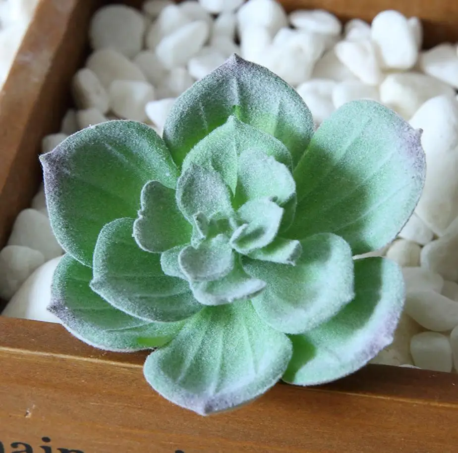 Several Different Type Rare Highly Simulation Small Flocked Artifical Succulent Plants in Pot